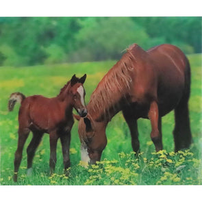 Horses - Triple Views - 3D Action Lenticular Poster - 12x16 - 3 Prints in 1 - New Poster 3Dstereo 