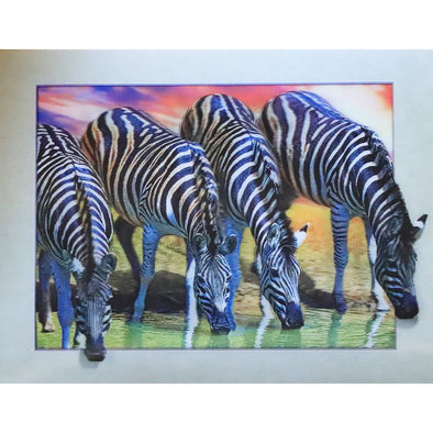 Zebras Drinking - 3D Lenticular Poster - 12x16 Print - New Poster 3Dstereo 