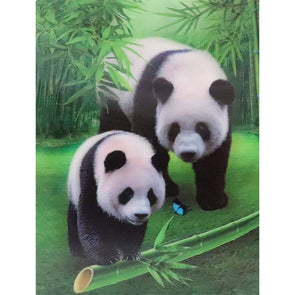 Panda - 3D Lenticular Poster - 12x16 Print - New Poster 3Dstereo 