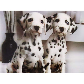 Dalmatians - 3D Lenticular Poster - 12x16 Print - New Poster 3Dstereo 