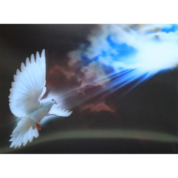 Dove in the Sky - 3D Lenticular Poster - 12x16 Print - New Poster 3Dstereo 