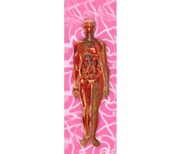 2 Animated Bookmarks - Human Body Anatomical - 3D Lenticular - NEW Bookmarks 3Dstereo 