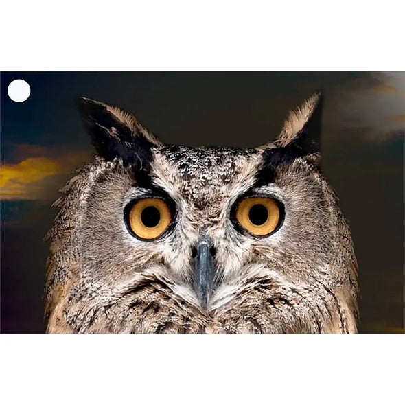 2 Morph Gift Tags - Owl to Man & Lion to Man - Motion Lenticular Gift Tags Cards - NEW Gift Cards 3dstereo 