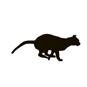 Muybridge - Cat - Motion Postcard - Greeting Card - NEW Post Cards 3dstereo 