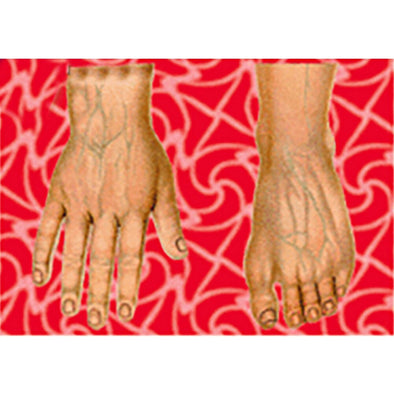 Hand and Foot - Flicker Lenticular Postcard Greeting Card - NEW Post Cards 3dstereo 