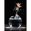 Goldfish Jumping - Flicker Lenticular Postcard Greeting Card - NEW Post Cards 3dstereo 