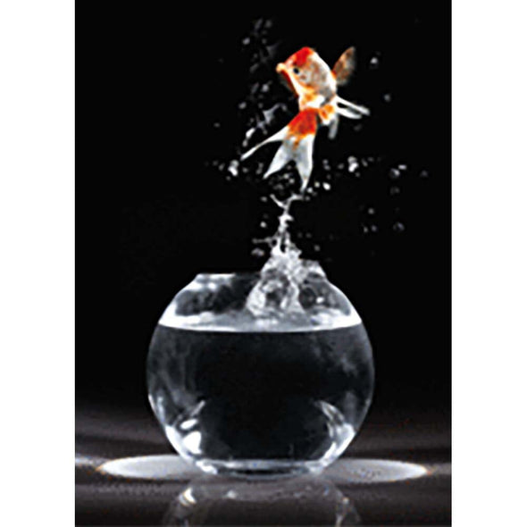 Goldfish Jumping - Flicker Lenticular Postcard Greeting Card - NEW Post Cards 3dstereo 
