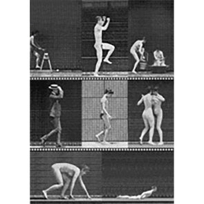 Muybridge - Motion Postcard -Greeting Card - NEW Post Cards 3dstereo 