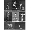 Muybridge - Motion Postcard -Greeting Card - NEW Post Cards 3dstereo 