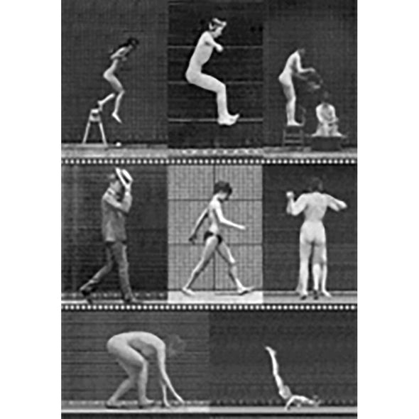 Muybridge - Motion Postcard -Greeting Card - NEW Post Cards 3dstereo 