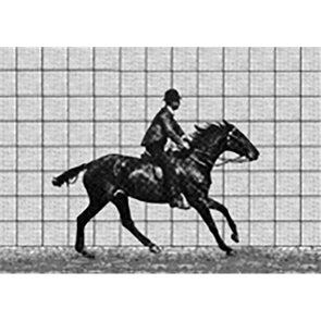 Muybridge - Motion Post Card - Horse Rider - Greeting Card - NEW Post Cards 3dstereo 