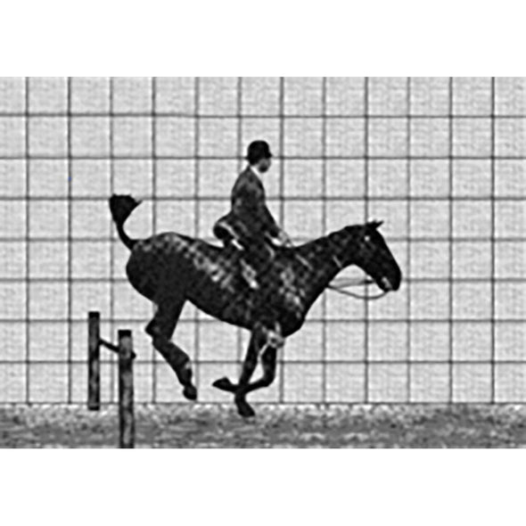 Muybridge - Motion Post Card - Horse Rider - Greeting Card - NEW Post Cards 3dstereo 