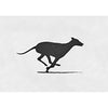 Muybridge - Motion Postcard - Greyhound - Greeting Card - NEW Post Cards 3dstereo 