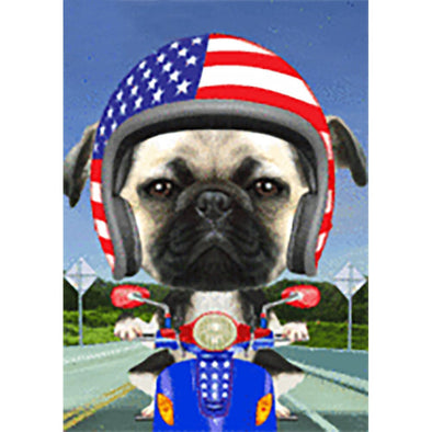 Pug on Bike - Flicker Lenticular Postcard Greeting Card - NEW Post Cards 3dstereo 