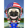 Pug on Bike - Flicker Lenticular Postcard Greeting Card - NEW Post Cards 3dstereo 