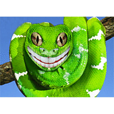 Smiling Snake - Flicker Lenticular Postcard Greeting Card - NEW Post Cards 3dstereo 