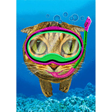 Diving Cat - Flicker Lenticular Postcard Greeting Card - NEW Post Cards 3dstereo 