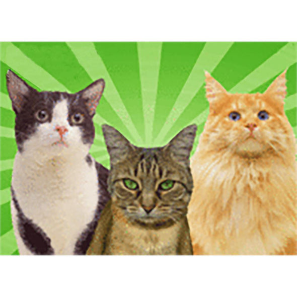 Cats - See No Evil, Hear No Evil, Speak No Evil - 3D Flicker Lenticular Postcard Greeting Card 3dstereo 