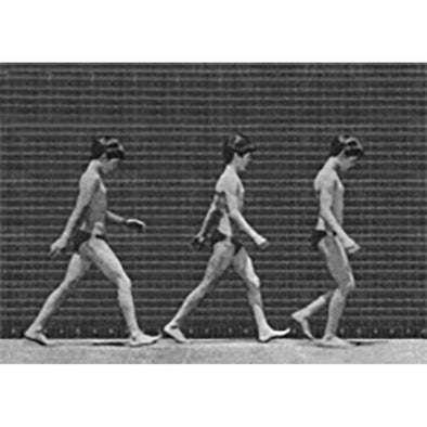 Muybridge - Motion Postcard - Men Walking - Greeting Card - NEW Post Cards 3dstereo 