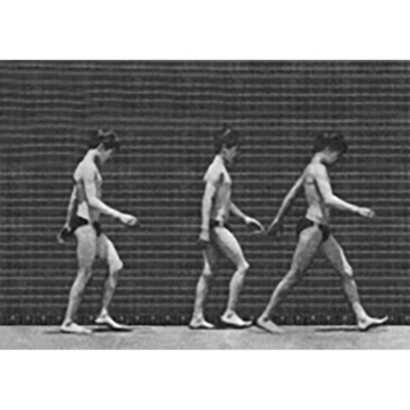 Muybridge - Motion Postcard - Men Walking - Greeting Card - NEW Post Cards 3dstereo 