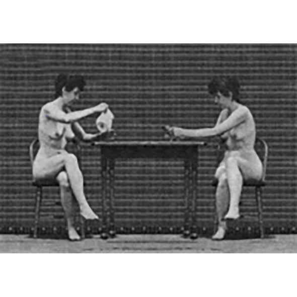 Muybridge - Motion Postcard - Nude Ladies Sitting at Table Greeting Card - NEW Post Cards 3dstereo 