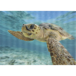 Loggerhead Sea Turtle - 3D Lenticular Postcard Greeting Card- NEW Postcard 3dstereo 