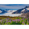 Mendenhall Glacier - 3D Lenticular Postcard Greeting Card Postcard 3dstereo 