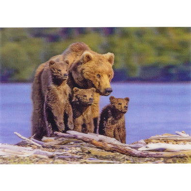 Brown Bear with Triplets - 3D Lenticular Postcard Greeting Card - NEW Postcard 3dstereo 