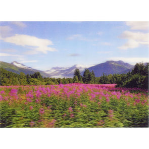 Mendenhall Glacier 2 - 3D Lenticular Postcard Greeting Card - NEW Postcard 3dstereo 