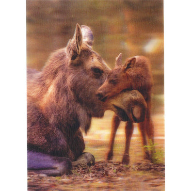 Moose and calf 2 - 3D Lenticular Postcard Greeting Card - NEW Postcard 3dstereo 