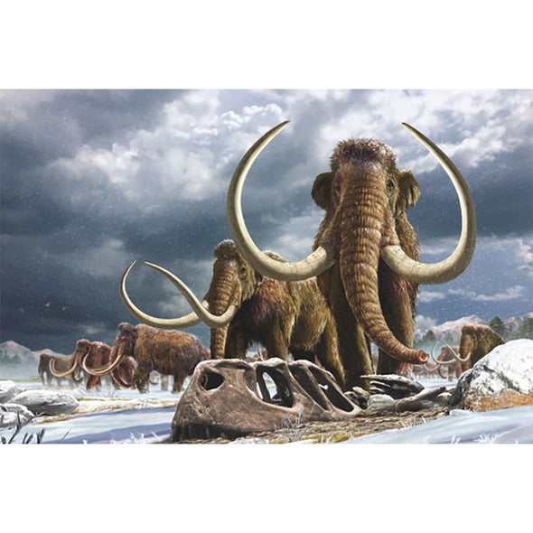 Mammoth Herd- 3D Lenticular Postcard Greeting Card - NEW Postcard 3dstereo 
