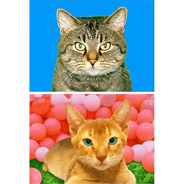 2 Humorous Cats - 3D Animated Flip Lenticular Postcards- NEW 3dstereo 