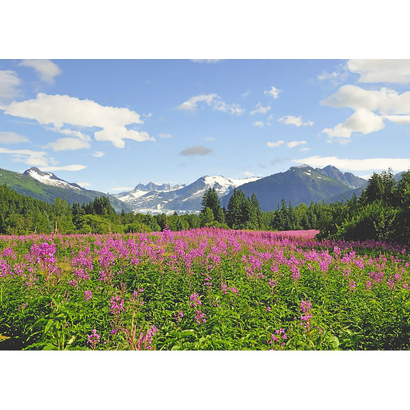 Mendenhall Glacier 2 - 3D Lenticular Postcard Greeting Card - NEW Postcard 3dstereo 