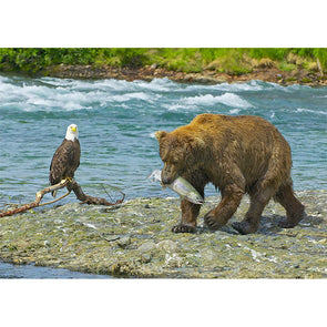 Brown Bear, Salmon and Bald Eagle - 3D Magnet for Refrigerator, Whiteboard, Locker MAGNET 3dstereo 