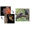 Black Bear & Brazilian Bat - 2 different 3D Magnets Popular Combo for Savings MAGNET 3Dstereo 
