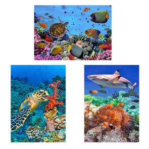 Coral Reef - 3 different 3D Magnet for Refrigerator, Whiteboard, Locker MAGNET 3dstereo 