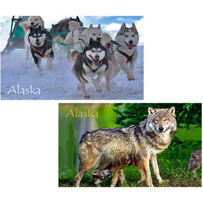 Wolf and Cub & Sled Dogs - 2 different 3D Magnets Popular Combo for Savings MAGNET 3Dstereo 