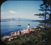 9 ANDREW - Maine - View-Master 3 Reel Economy Packet - vintage - MAINE-1,2,3-S3 Packet 3Dstereo 