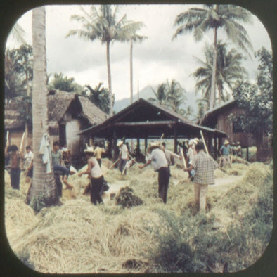 Meopta Reel - Filipiny II - Philippines II. - 38-6 - Vintage Reels 3Dstereo.com 