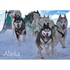 Wolf and Cub & Sled Dogs - 2 different 3D Magnets Popular Combo for Savings MAGNET 3Dstereo 