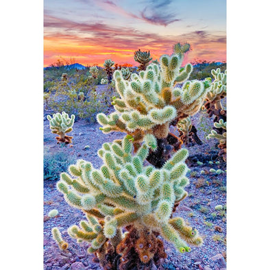 Cholla - 3D Magnet for Refrigerator, Whiteboard, Locker MAGNET 3dstereo 