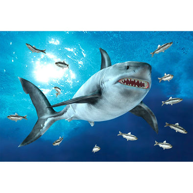 White Shark - 3D Magnet for Refrigerator, Whiteboard, Locker MAGNET 3dstereo 