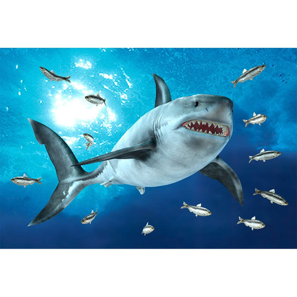 White Shark - 3D Magnet for Refrigerator, Whiteboard, Locker MAGNET 3dstereo 
