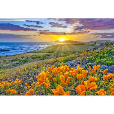 California Coast - 3D Magnet for Refrigerator, Whiteboard, Locker MAGNET 3dstereo 