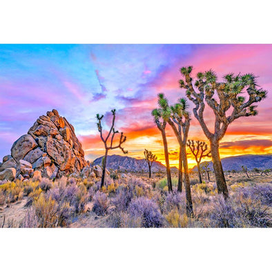 Joshua Tree Sunset 2 - 3D Magnet for Refrigerator, Whiteboard, Locker MAGNET 3dstereo 