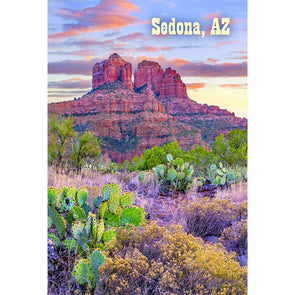 Sedona, Cathedral Rock - 3D Magnet for Refrigerator, Whiteboard, Locker MAGNET 3dstereo 