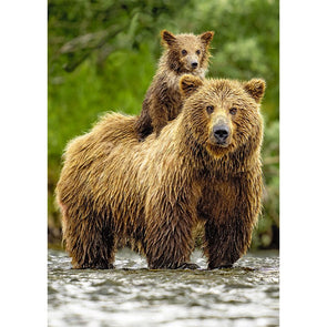 Bear, Brown and Cub 2 - 3D Magnet for Refrigerator, Whiteboard, Locker MAGNET 3dstereo 