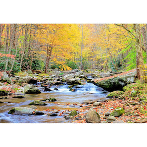 Appalachian River Autumn - 3D Magnet for Refrigerator, Whiteboard, Locker MAGNET 3dstereo 