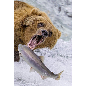 Bear Grizzly Salmon 2 - 3D Magnet for Refrigerator, Whiteboard, Locker MAGNET 3dstereo 