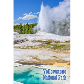 Yellowstone, Heart Spring and Erupting Geyser - 3D Magnet for Refrigerator, Whiteboard, Locker MAGNET 3dstereo 
